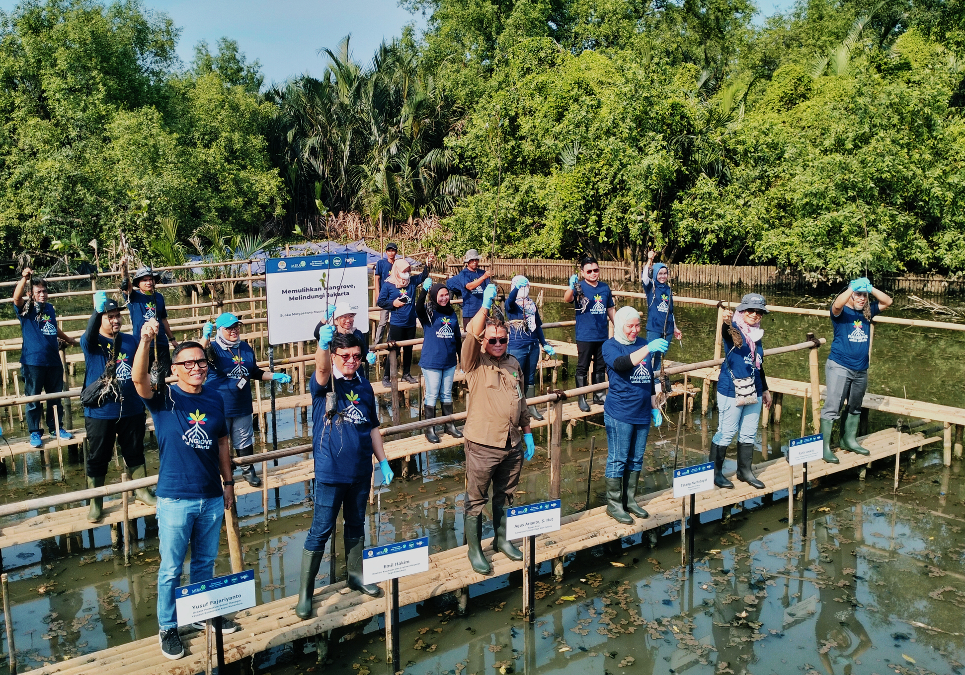 Mangrove Planting 