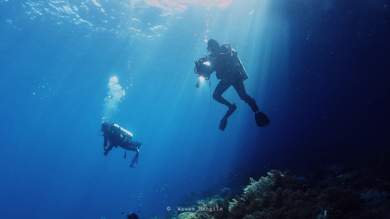 undersea coral restoration
