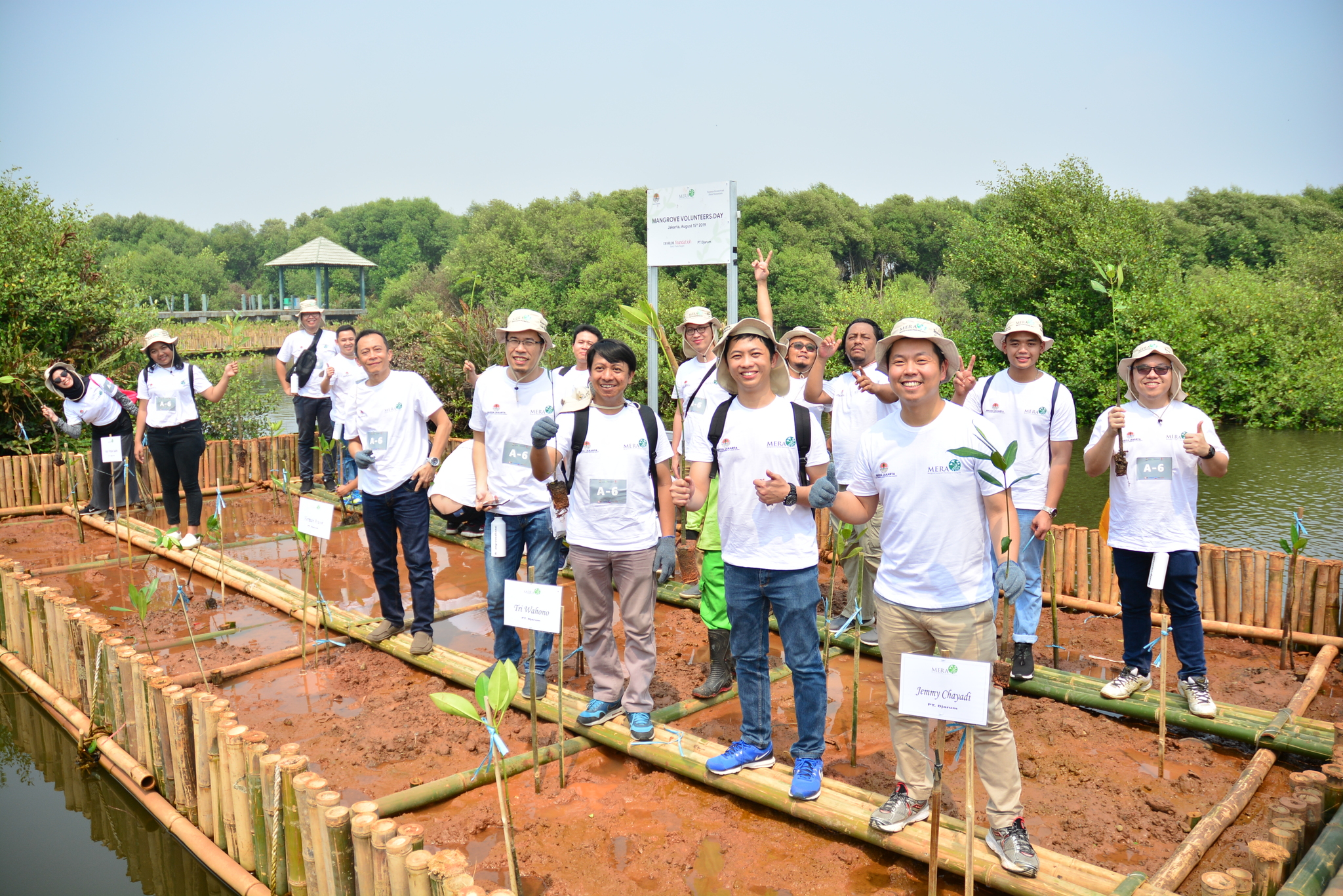 Djarum Mangrove Planting 