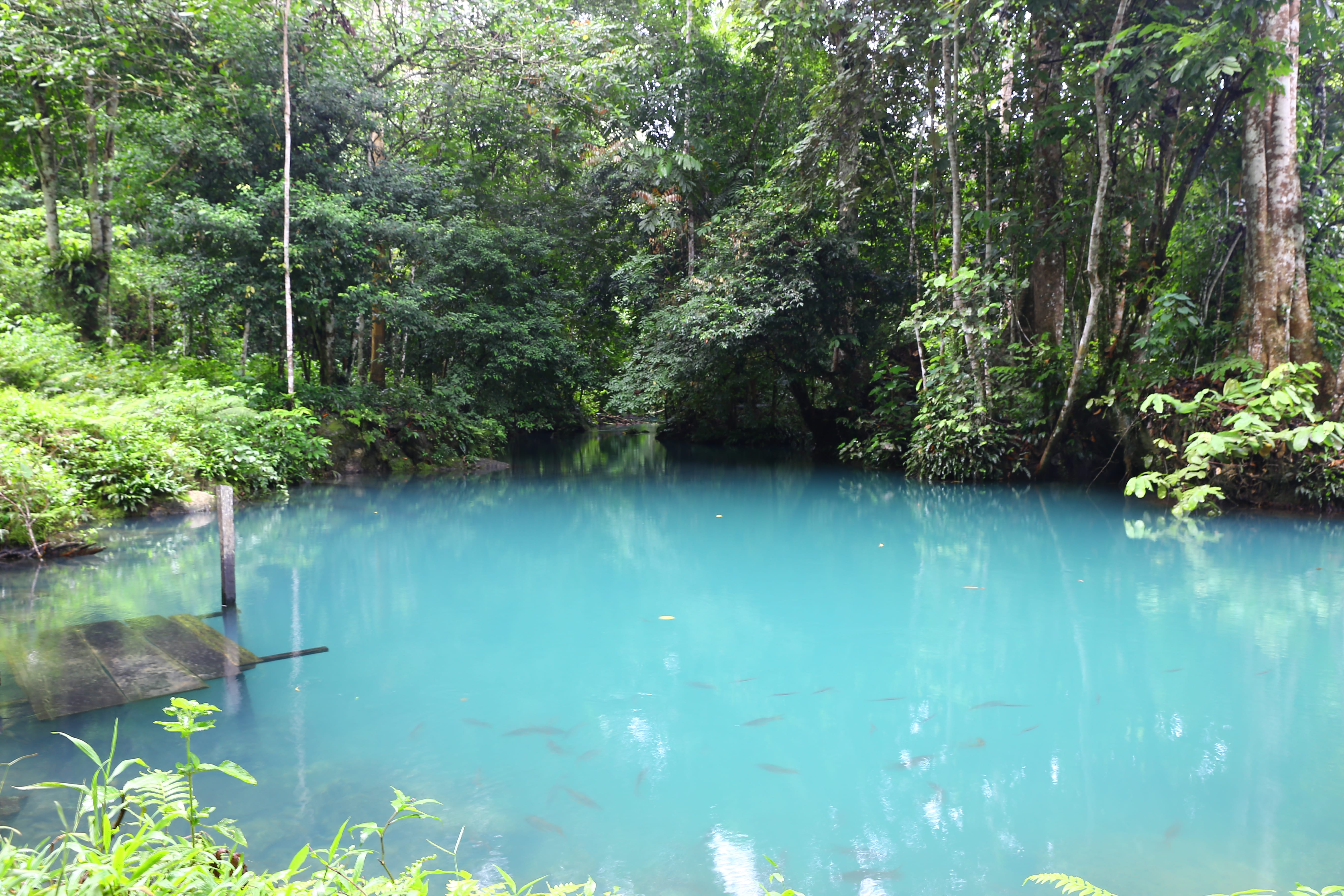 Danau Nyadeng